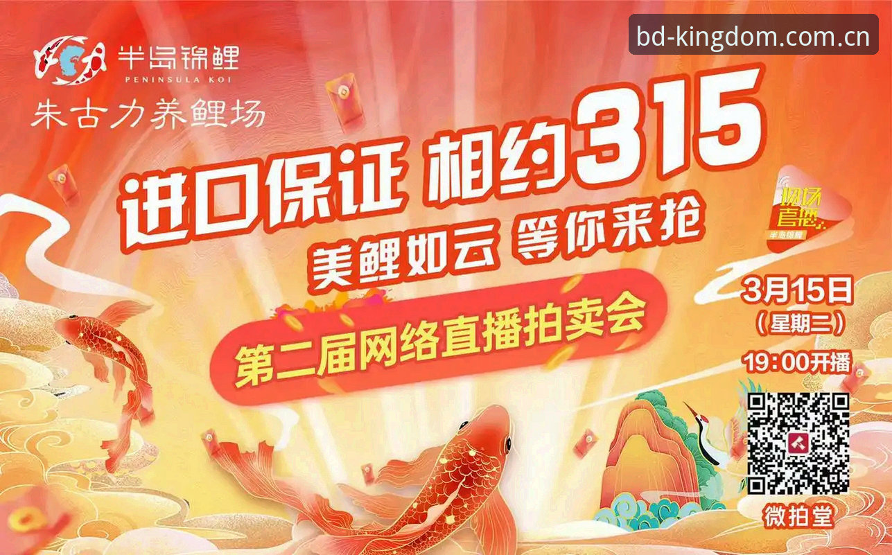 半岛平台官网Android端v3.0.2实测：下载安装与注册入口最新动态